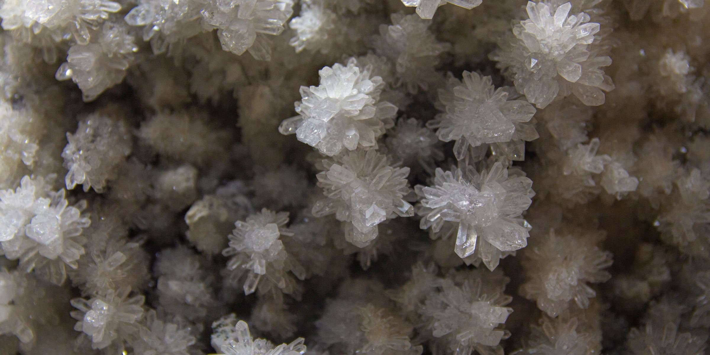 Close-up of white crystal formations